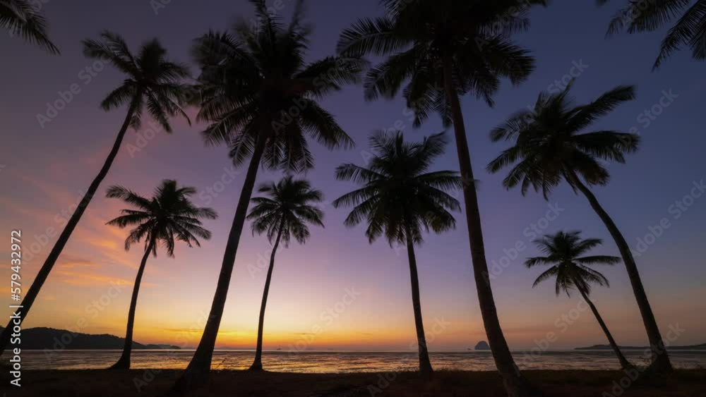 4K Time lapse of coconut palm tree against sunrise, Laem Had beach, Koh Yao Yai, Thailand 4K Time lapse of coconut palm tree against sunrise, Laem Had beach, Koh Yao Yai, Thailand
