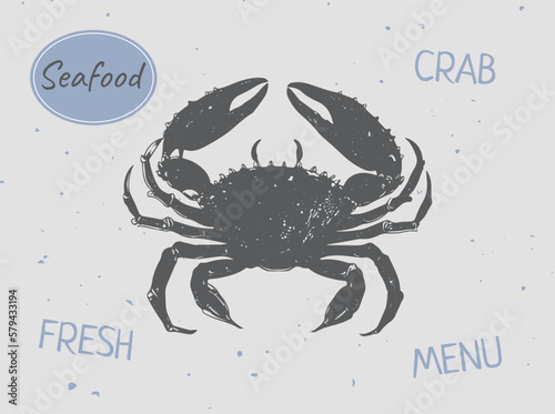Crab Isolated Drawing. Sea Animal. Vector illustration. Seafood. Logo.