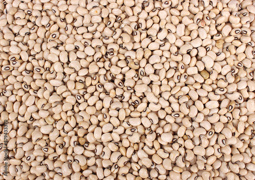 Black Eyed Peas,	Lobia, Chavle, Raungi, Soya Pulses