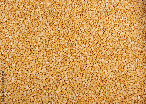 Split  skinned green gram, yellow lentils, Moong Dal, Moong Dhowa photo