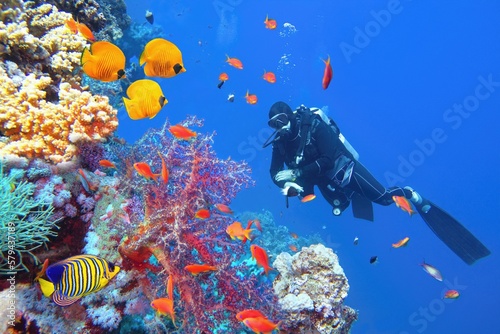 Murais de parede Scuba diver near beautiful coral reef surrounded with shoal of colorful coral fi