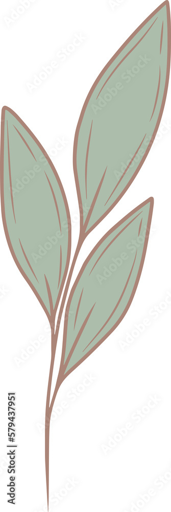 Spring flower leaf, png file