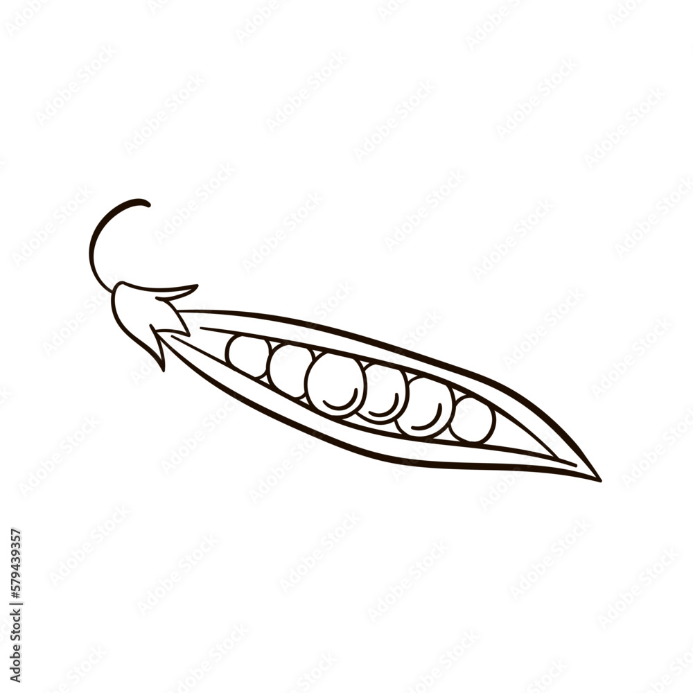 Peas in line art style. Vector Illustration of Peas icon isolated on white background. Peas in line art style. Vector Illustration of Peas icon isolated on white background.