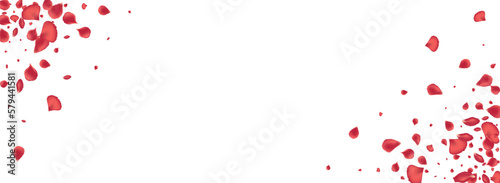 Pink Flower Spring Vector Panoramic White