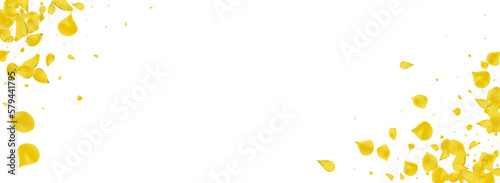 Gold Sakura Japanese Vector Panoramic White