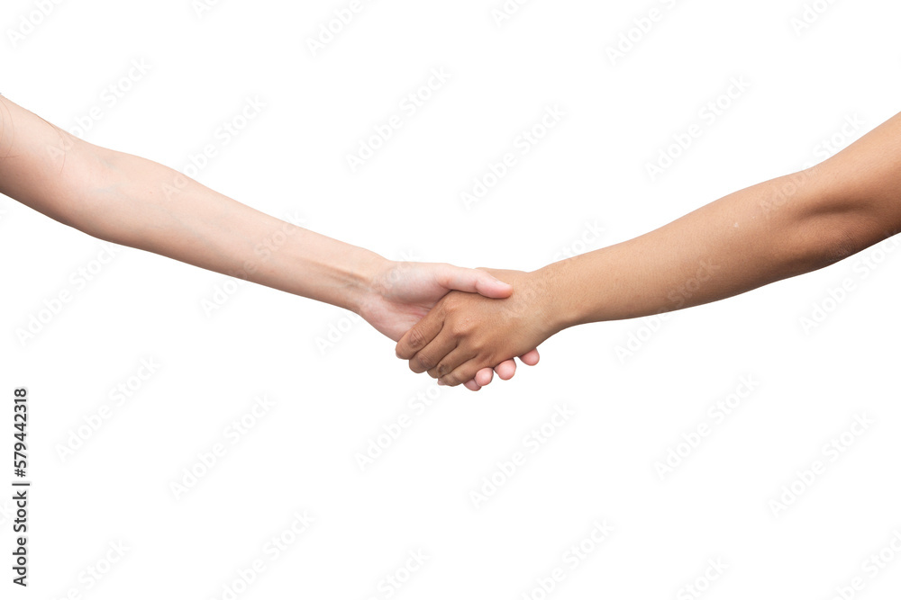 Shaking hands  isolated on white.