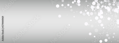 Winter Blizzard Vector Silver Panoramic