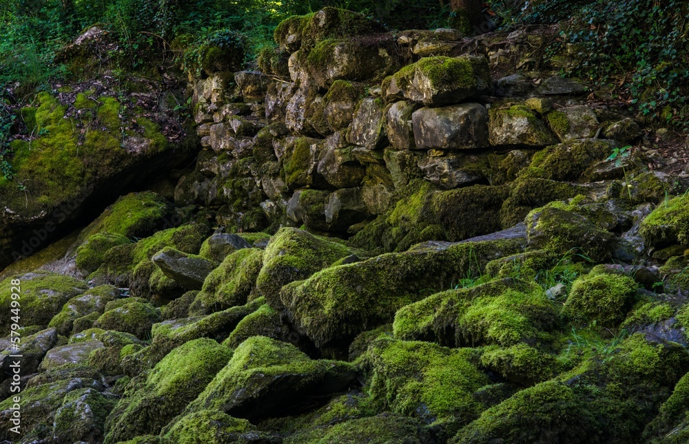 Closeup shot of rocks covered in moss