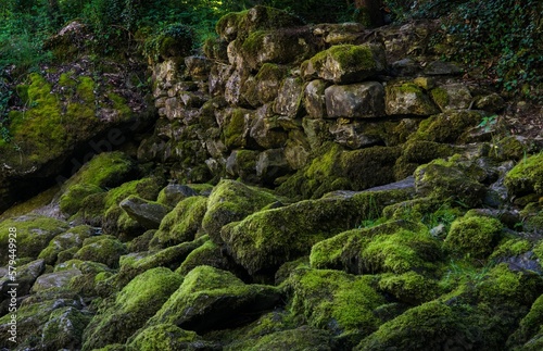 Closeup shot of rocks covered in moss © Streuli Yves/Wirestock Creators