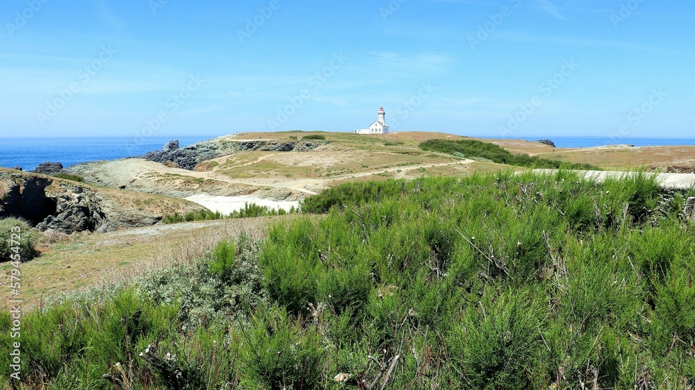 Beautiful view of the Poulains lighthouse from green grass on cliff in Sauzon, France