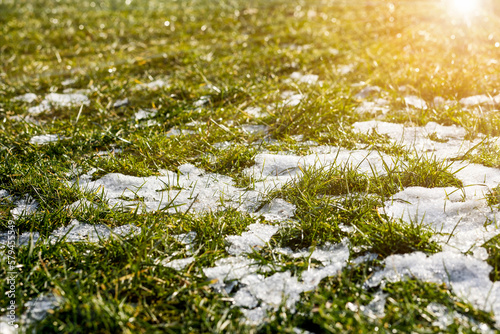 Spring Coming Background. Last Snow Melting on Green Grass of Lawn with Sun Light. Beautiful Early Spring Background.