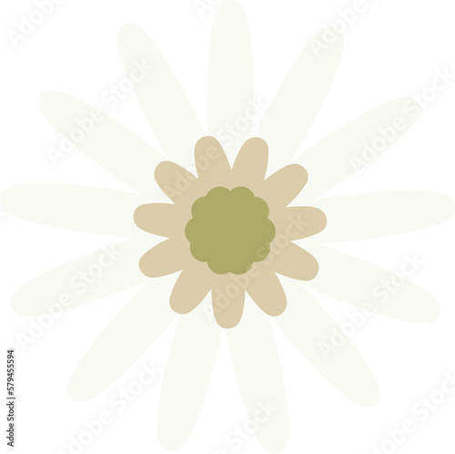 flower floral decoration clipart