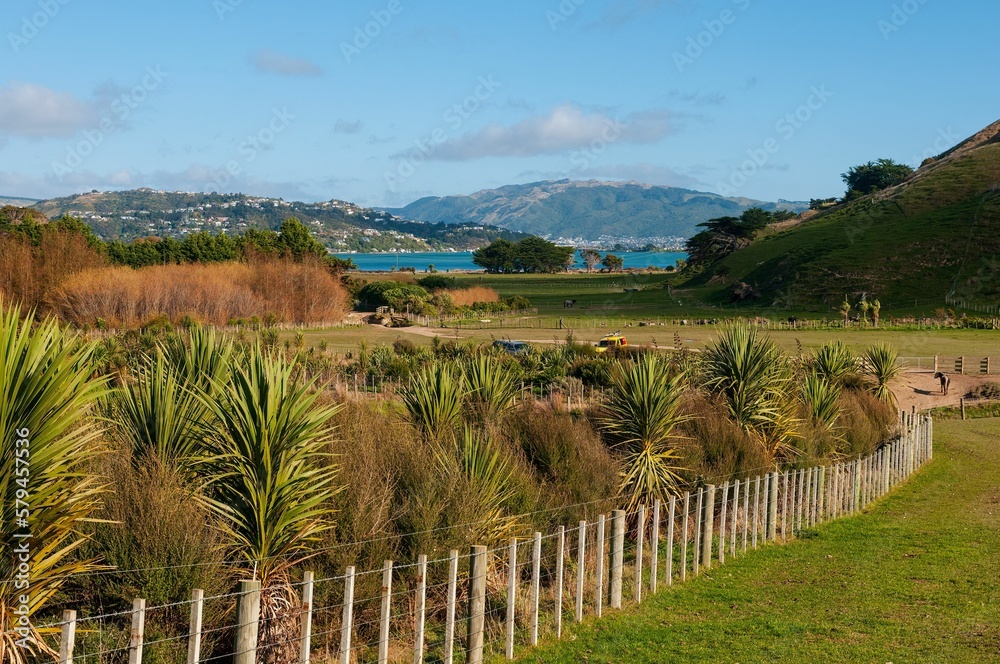 Grassy field with a fence against the blue sky in New Zealand, Porirua City