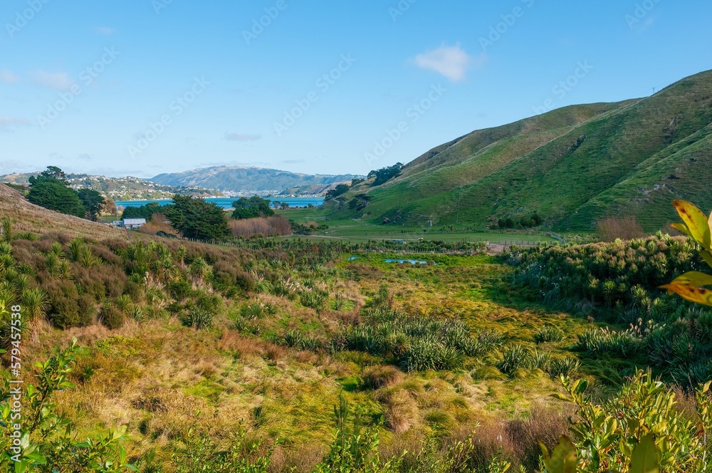 Beautiful view of a valley with a lake in the distance in New Zealand, Porirua City near Wellington