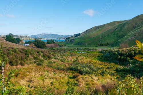 Beautiful view of a valley with a lake in the distance in New Zealand, Porirua City near Wellington