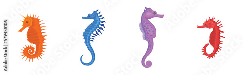 Colorful Seahorses as Swimming Underwater Creature Vector Set © Happypictures