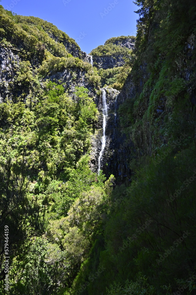madera, madeira, góry, klif madera, madeira, góry, klif