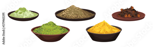 Different Spices and Condiments with Clove, Cumin in Bowl, Curcuma and Seeds Vector Set