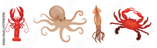 Seafood and Marine Delicacy with Lobster, Crab, Squid and Octopus Vector Set