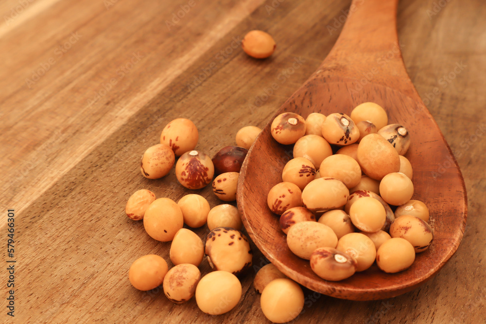 Jugo beans on a wooden spoon Jugo beans on a wooden spoon