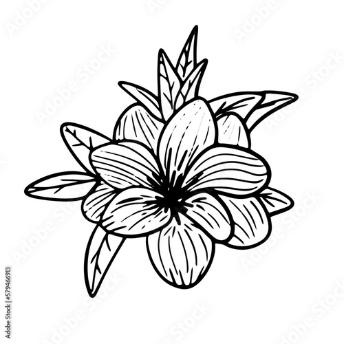 Vector artistic pen and ink sketch doodle drawing illustration of simple flower in bloom.