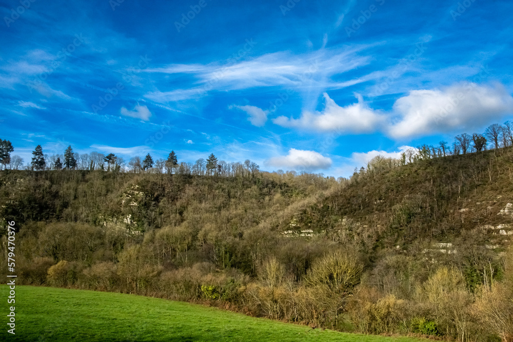 Green meadow, mountain with trees and blue sky with small clouds. Rural landscape in France.
