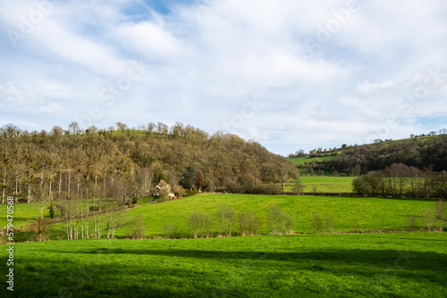 Hilly terrain with green meadows and trees in France.
