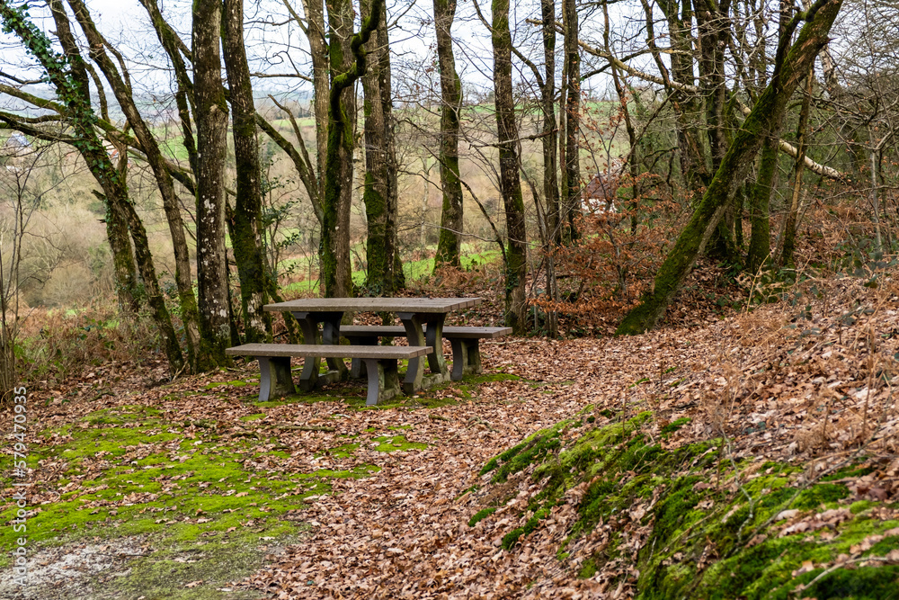 Table with benches for relaxation in forest. Place of rest for tourists and travelers. Table with benches for relaxation in forest. Place of rest for tourists and travelers.