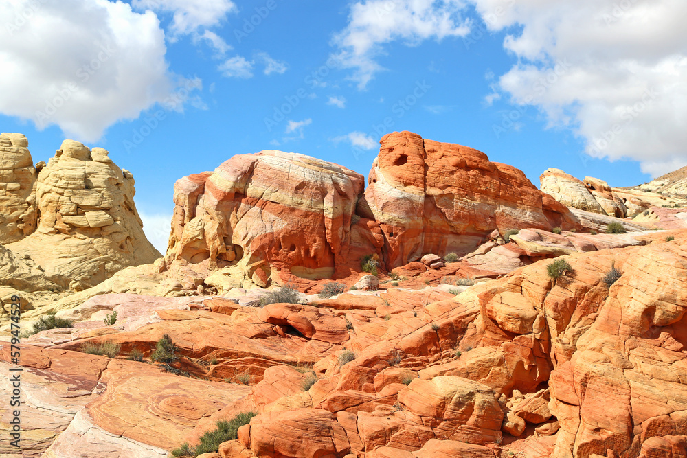 Fototapeta premium Colorful formation - Valley of Fire State Park, Nevada