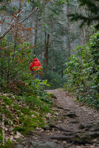 path in the woods