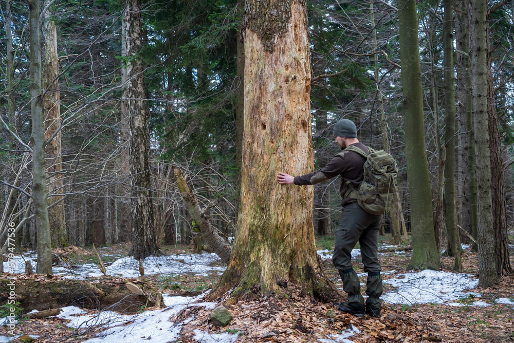 person in the forest