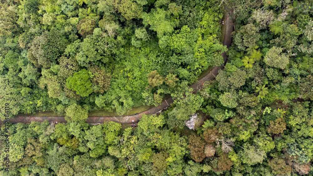 Vista aérea de sendero parque natural en Antioquía cerca a Medellín, Colombia