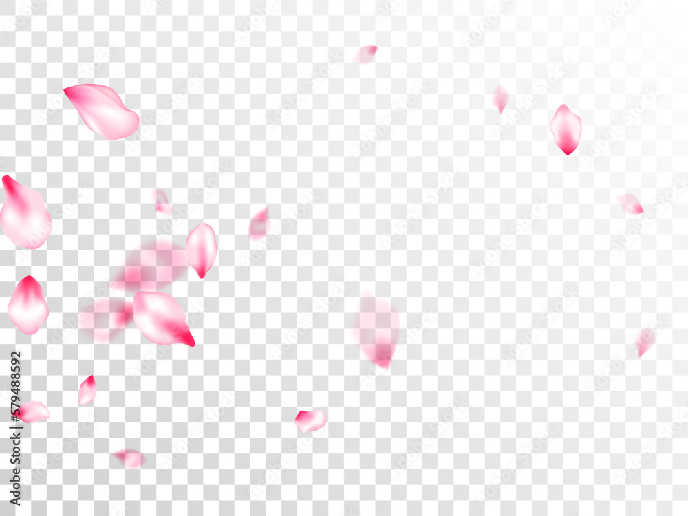 Spring blossom isolated petals flying Spring blossom isolated petals flying