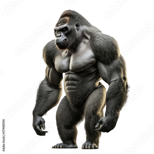 gorilla isolated on white background © purich