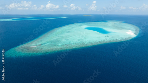 coral reef in the sea