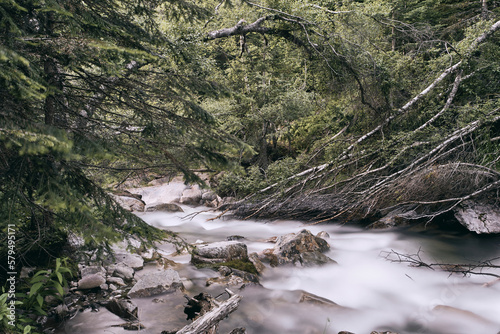 Río de Montaña en el Pirineo