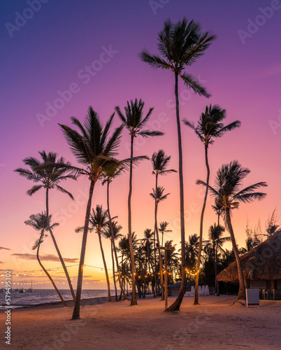Sunset on the beach. Paradise beach. Tropical paradise, white sand, beach, palm trees and clear water.