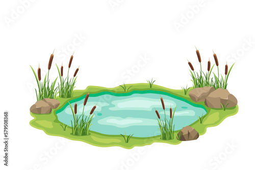 Pond with cattail and thickets. Swamp in grass and stones. Vector design illustration with wild vegetation