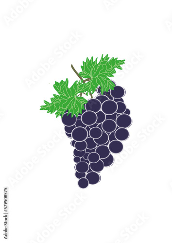 Uva vettoriale maturata su uno sfondo bianco