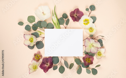 Beautiful flat lay with fresh hellebore flowers and eucalyptus and blank stationery card