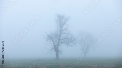 Rural scenic view during a foggy street morning day. Winter season.