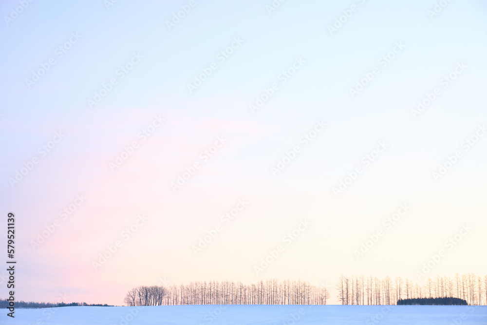 Obraz premium 冬の朝の空