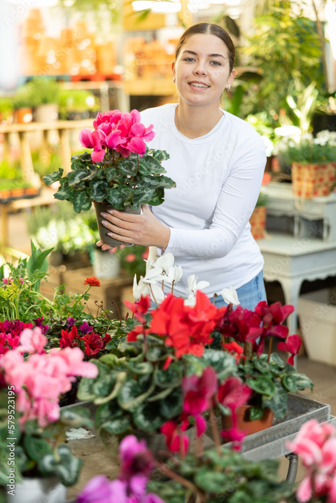 in flower shop, girl customer sees for first time bright and large cyclamen flower