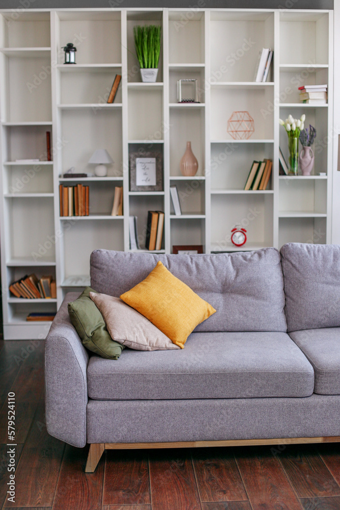 modern living room interior with sofa and bookshelf modern living room interior with sofa and bookshelf