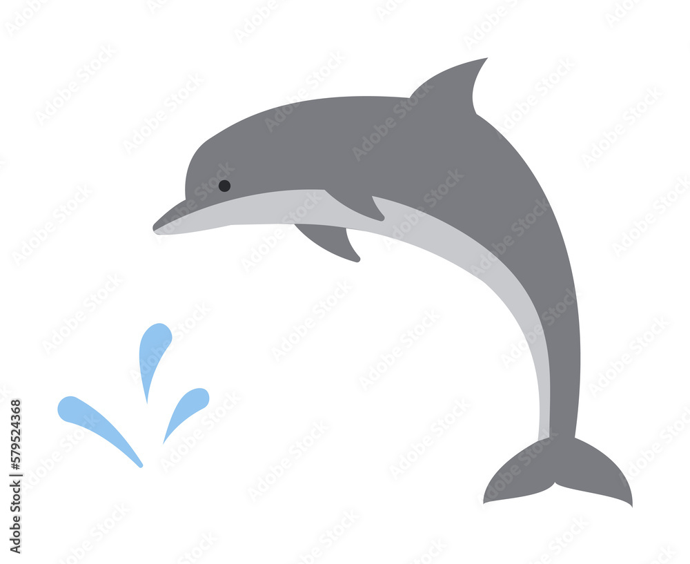 Obraz premium dolphin colored icon illustration design art