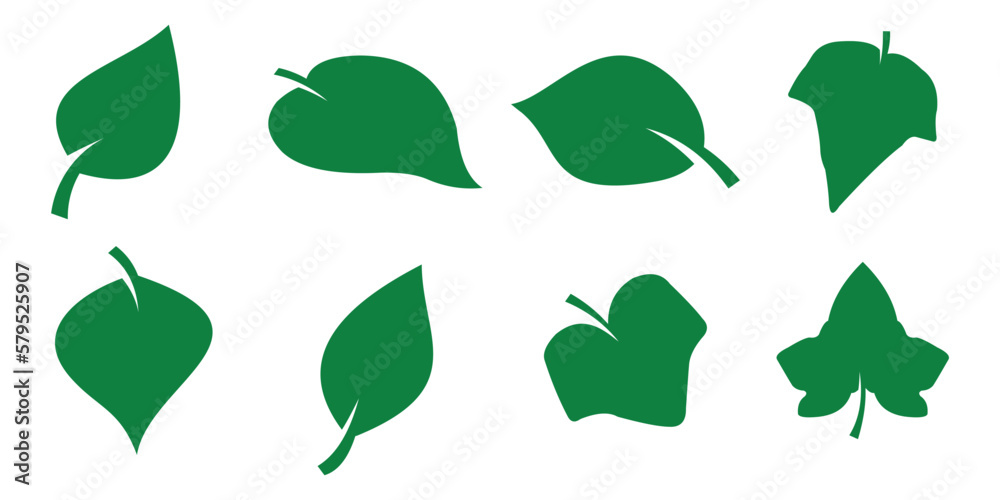 collection of green leaf shapes, spring, organic leaves on white background