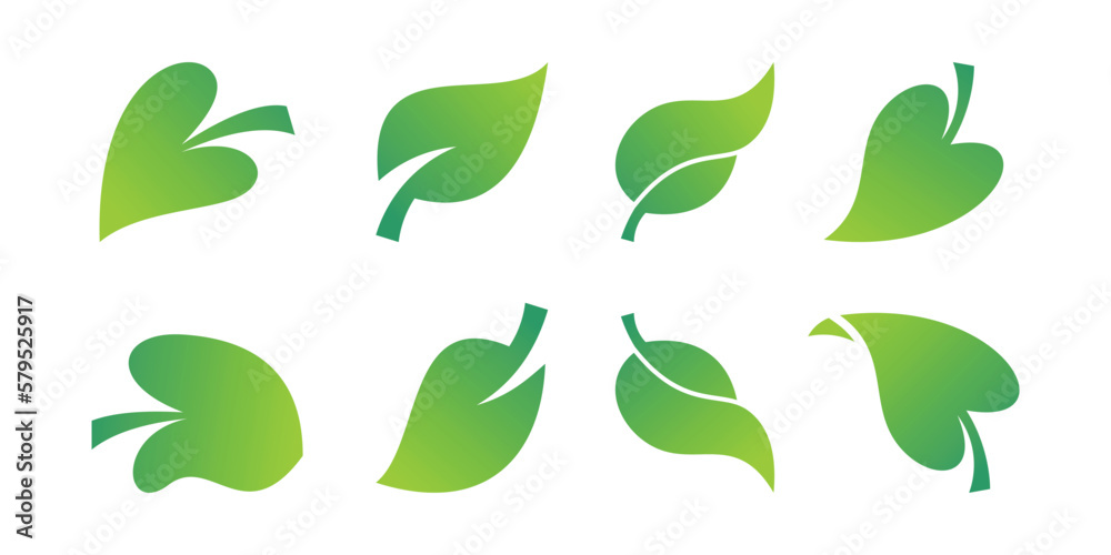 a collection of green leaves on a white background