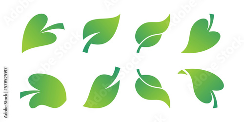 a collection of green leaves on a white background