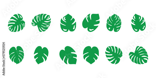 green monstera leaf icon on white background