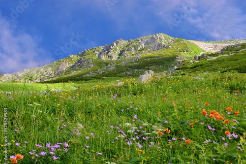 夏の立山連峰 ハイキング